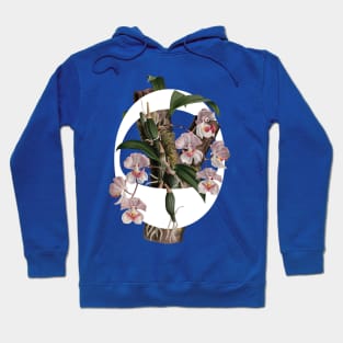 Oh, Tropicalia! Hoodie